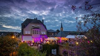 Bo på Weingut Cluesserath-Weiler Guesthouse