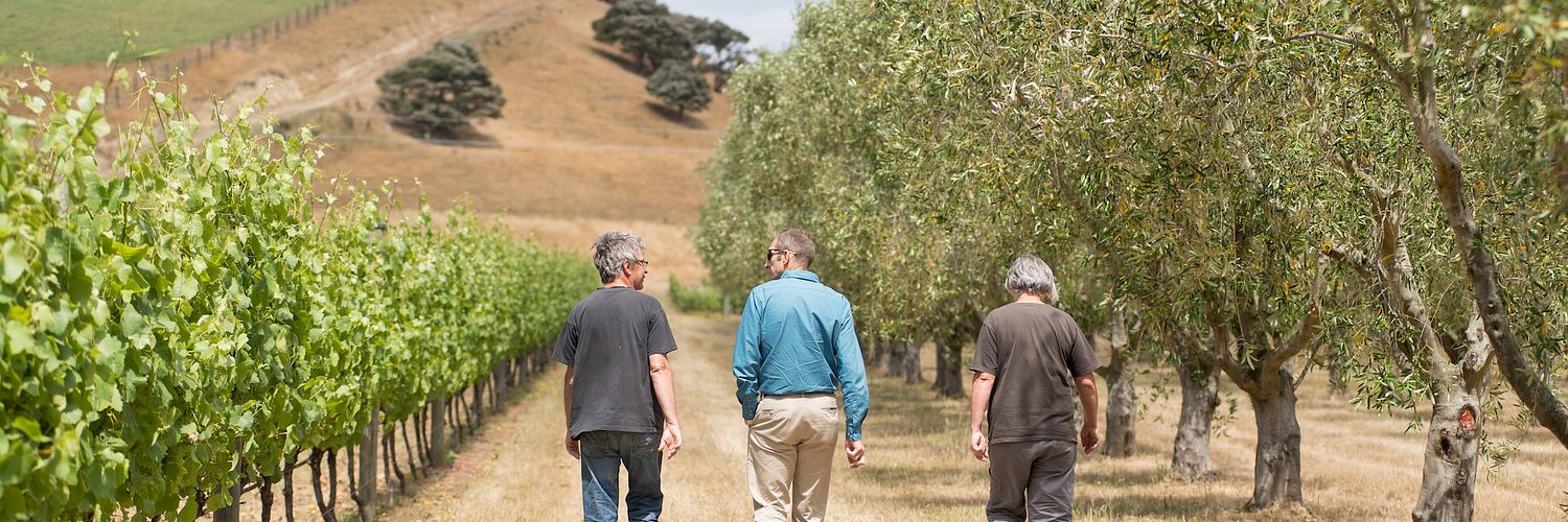 The Elder Pinot Wine Tour