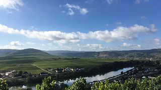 Degustazione di vini e visita alla Weingut Gebr