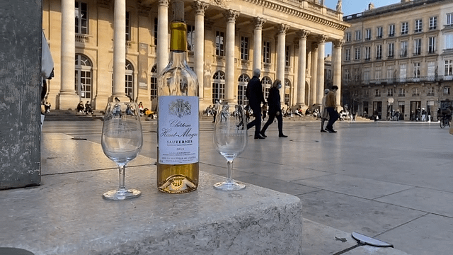 Découverte des vins de Bordeaux - Circuit pédestre Histoire & Vins 