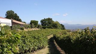 Cantina Tamburino Sardo Di Fasoli Adriano & Figli