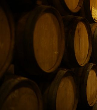NOA Vineyards & Cellar