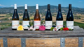Express Tasting