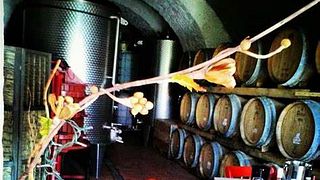 Tasting in a tuff cave