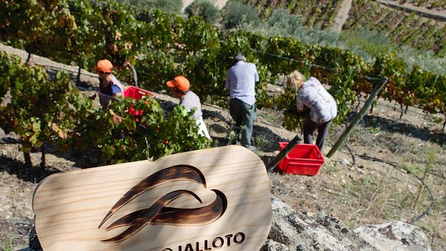 Quinta Do Jalloto