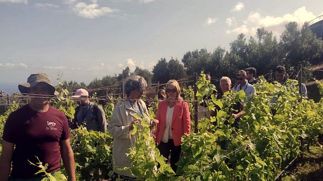 Bodegas El Sitio