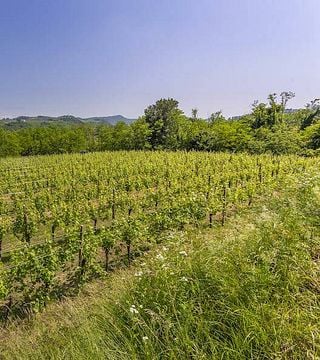 Beliebte Weinprobe im Weingut Spolert