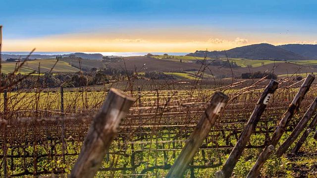 Gianni Moscardini Winery