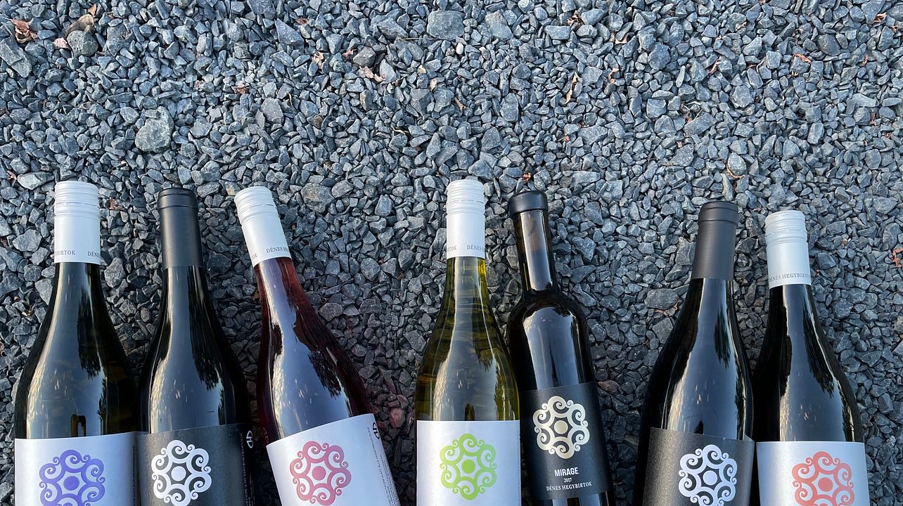 Degustazione vini BASE - Una collina, una cantina, un carattere vulcanico unico