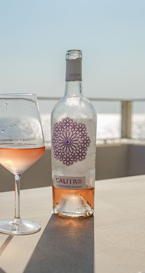 Vino 15