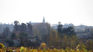 Panier Gourmand: Wine tasting and tour at Château Tournefeuille