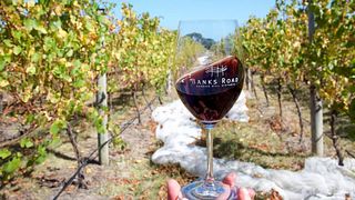Banks Road Vineyard