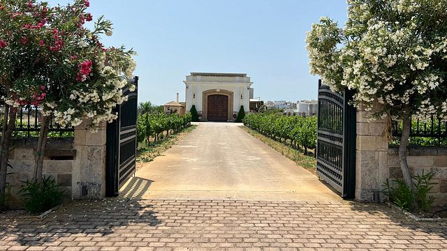 Experimente a emoção do cassino de vinhos na vinícola Gikas