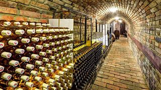 Tarde de cata en la bodega Laurent Šatov