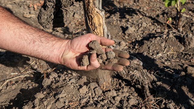A experiência do Contrada Tour na vinícola Etnella