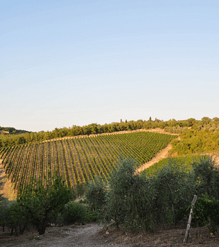 Poggio San Polo