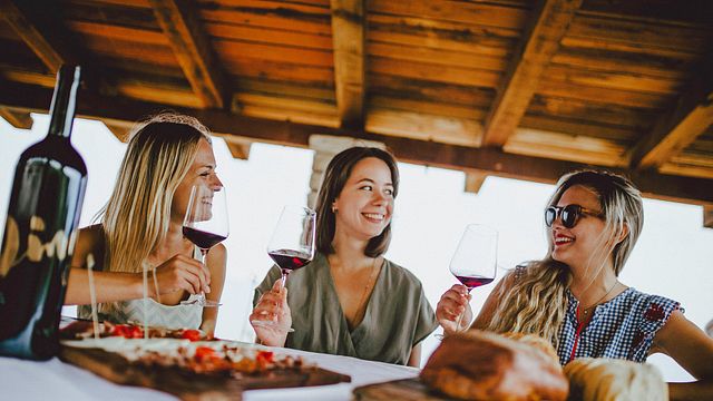 Esperienza di degustazione "DINGAC" nel grande vigneto 