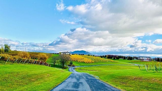 Degustação de vinhos e tour pelos vinhedos de CrossKeys