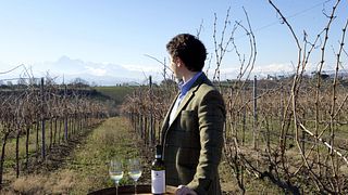 Cantina Mazzarosa: A Legacy of Sustainable Winemaking