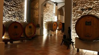 Dégustation de vins et visite chez Peri Bigogno
