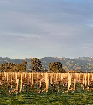 Vicarage Lane Wines