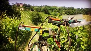 Weinprobe und Tour in der Azienda Agricola Marco Rabino