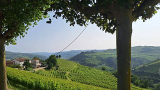 Cascina Delle Rocche Di Moncucco