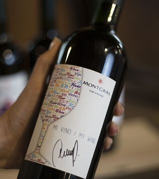 Degustazione di vini e visita alla cantina MontGras