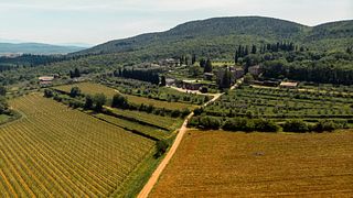 Experiencia de descubrimiento en Tenuta Di Trecciano