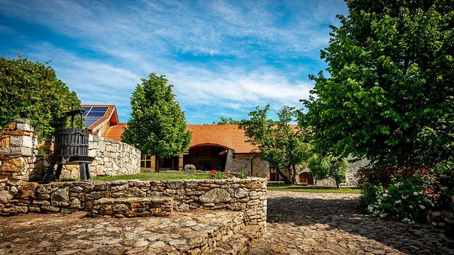 Upper Hungary Wine Journey at Demetervin