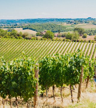 Visita y cata de vinos con maridaje de productos locales en la Bodega Boutique Poggio del Moro en Val D'Orcia