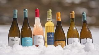 Degustazione di vini bianchi