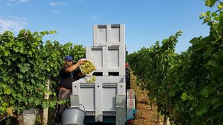 Weingut Alphart