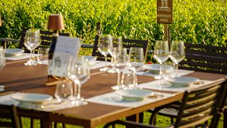 Almuerzo Vigneron con visita y cata de vinos