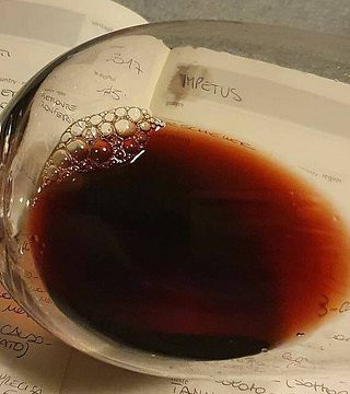Besichtigung und Weinprobe in der Azienda Vitivinivola Gaggino Di Urscheler Roberto