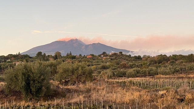 Cantine Sava - Domaine viticole de l'Etna - Belpasso, Catania