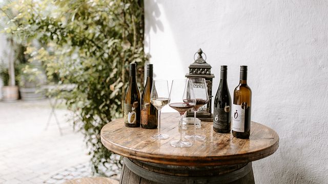 Vinprovning och vingårdstur på Weingut Österreicher
