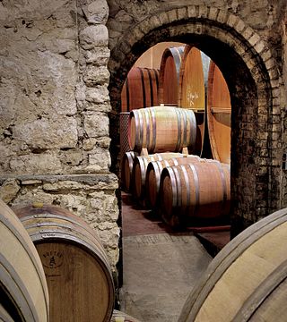 Provence Wine Tasting