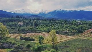 Bodega Encima Wines