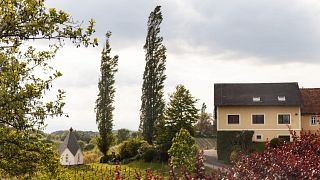 Dégustation de vins et visite du domaine Weingut Muster Gamlitz