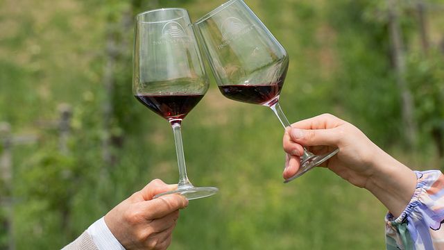 Dégustation de vins du Roero et du Monferrato à la Tenuta "La Pergola" à Bodda Alessandra
