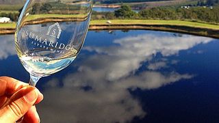 Degustazione di vini e tour a Sumaridge Estates