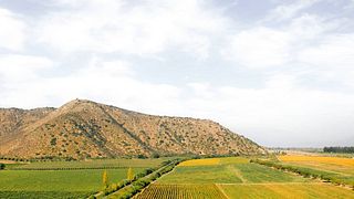Viña Terramater