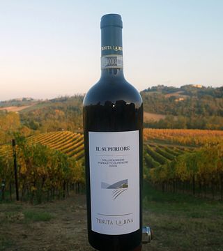 Tenuta La Riva