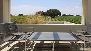 Dégustation de vins et visite à Dehesa de Luna