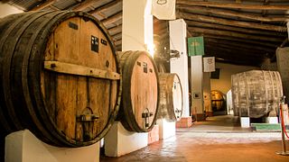 Dégustation et visite de vins anciens à Vasija Secreta
