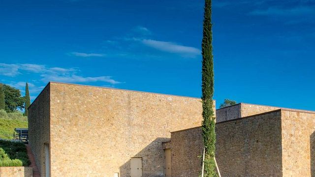 Degustação de vinhos Platinum e tour na vinícola Icario