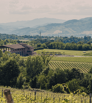 Weinprobe und Tour am Monte Delle Vigne
