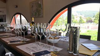Degustazione e visita a Corte Adami