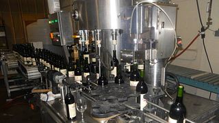 Cata de vinos y visita guiada a la bodega Baroda Founders